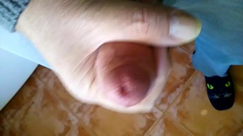 VID 20160311 115332